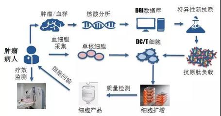 华大吉诺因携「肿瘤新生抗原」诱导的CTL技术亮相AACR 引领个性化免疫治疗新浪潮